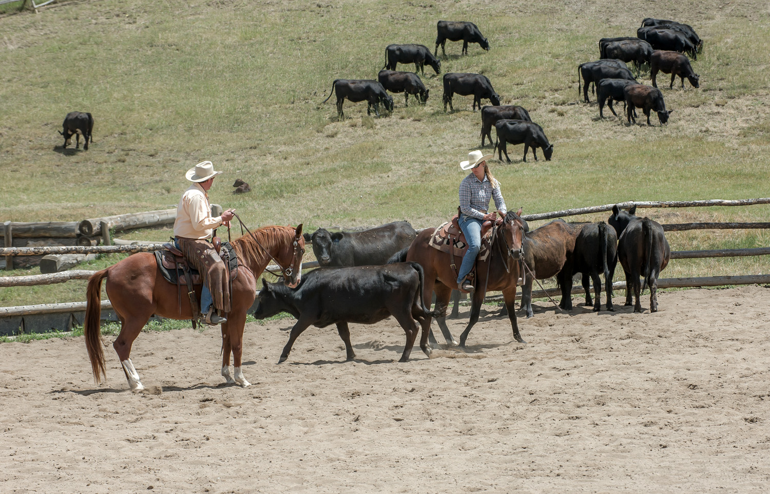 Training tip: Purpose Driven Horsemanship