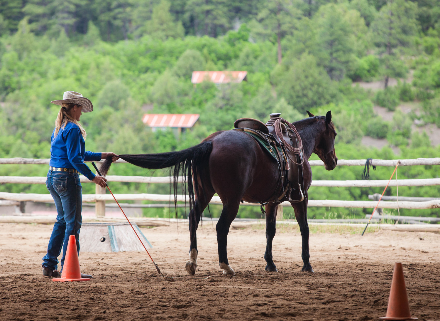 Training Tip: Steady Pressure